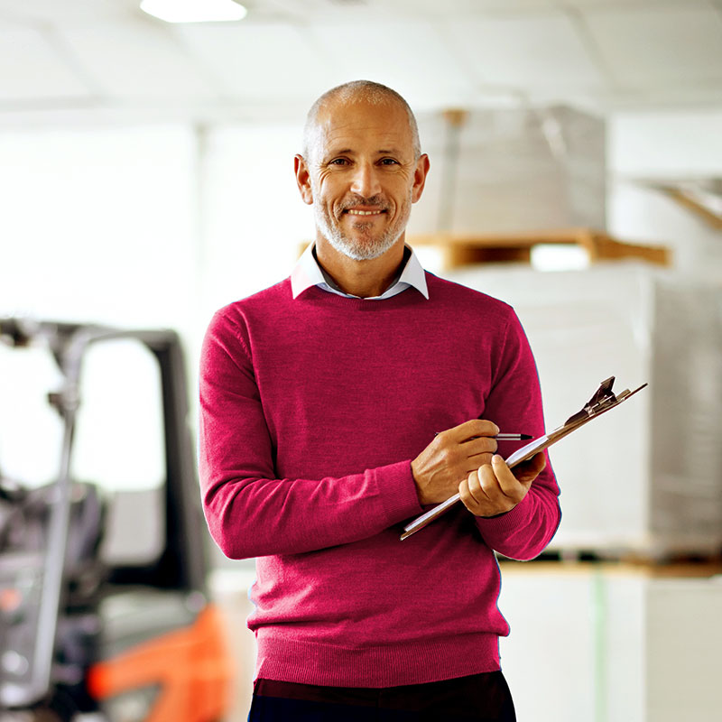 A WHS auditor expert
